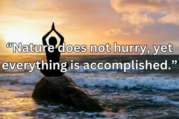 Yoga Quotes