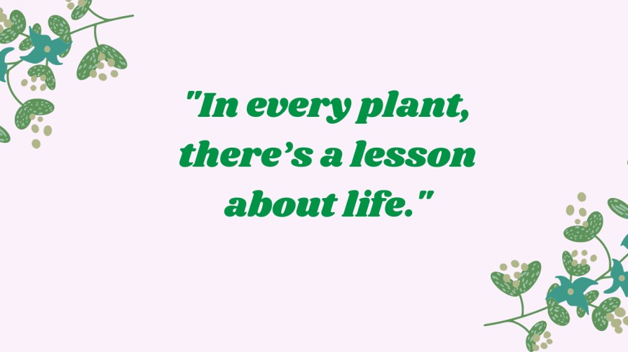 Plant Quotes