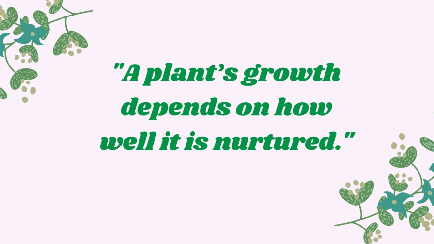 Plant Quotes