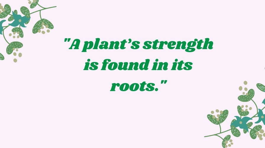 Plant Quotes