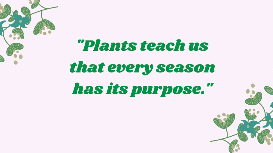 Plant Quotes