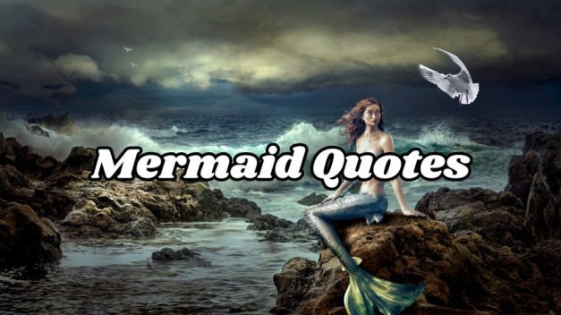 Mermaid Quotes