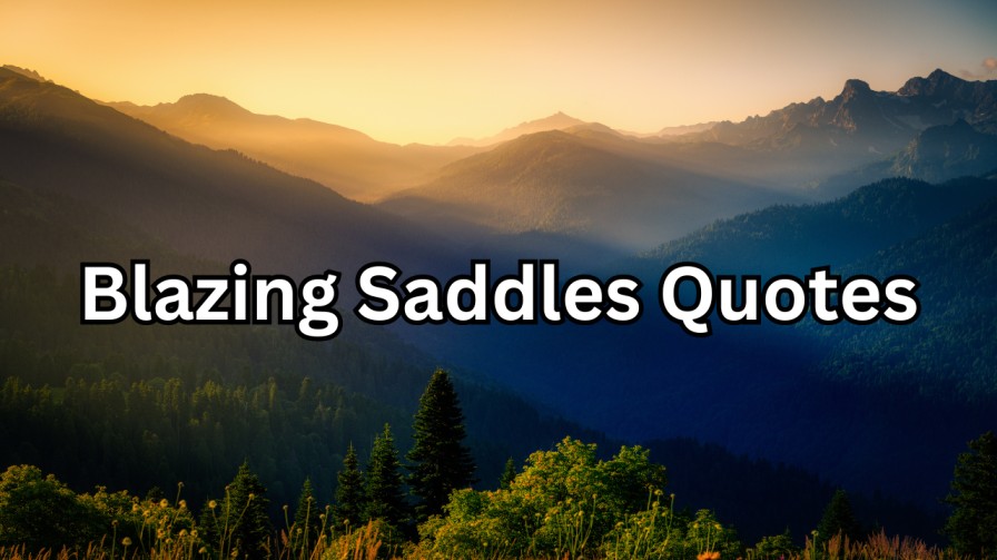 Blazing Saddles Quotes